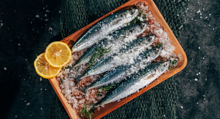 Frische Sardinen auf einem Holztablett mit Salz und Zitronenscheiben, dekoriert mit Kräutern.